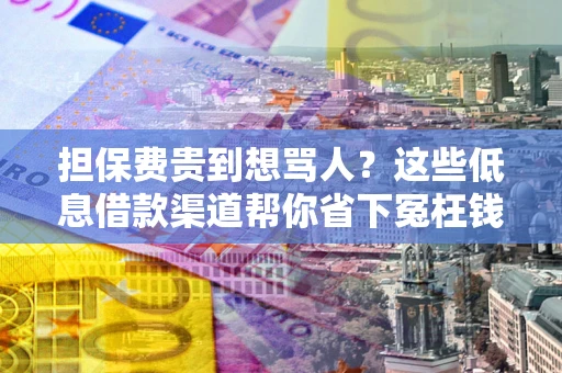济南担保费贵到想骂人？这些低息借款渠道帮你省下冤枉钱