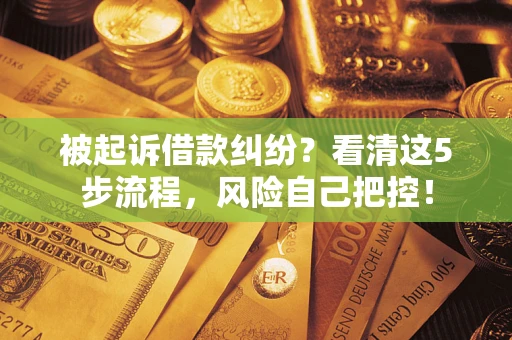 济南被起诉借款纠纷？看清这5步流程，风险自己把控！